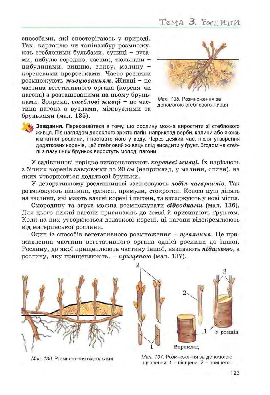 Мініатюра 123