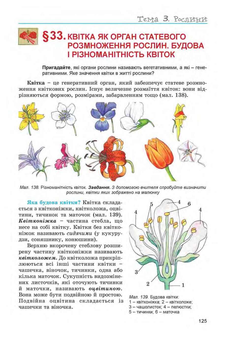 Мініатюра 125