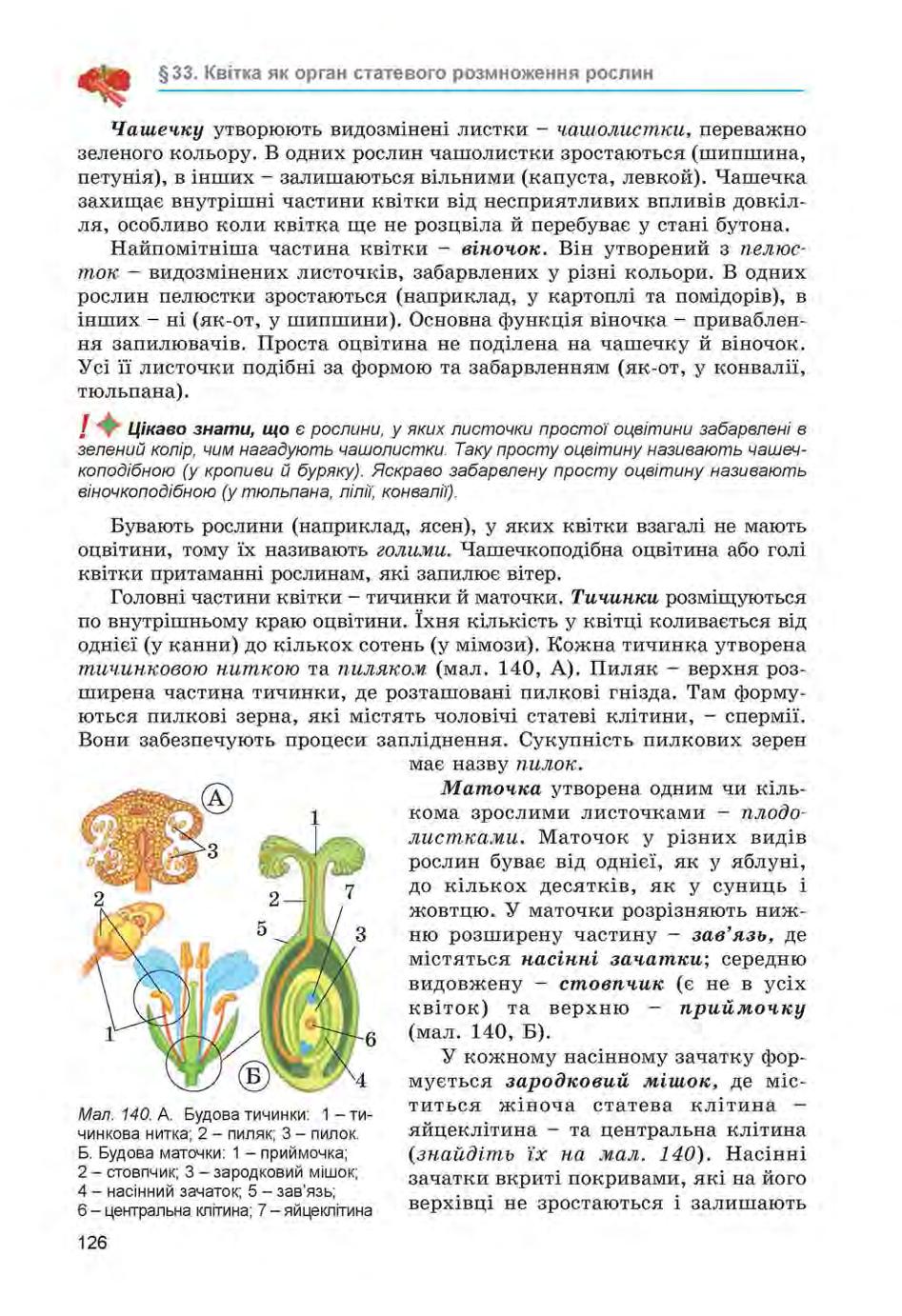 Мініатюра 126