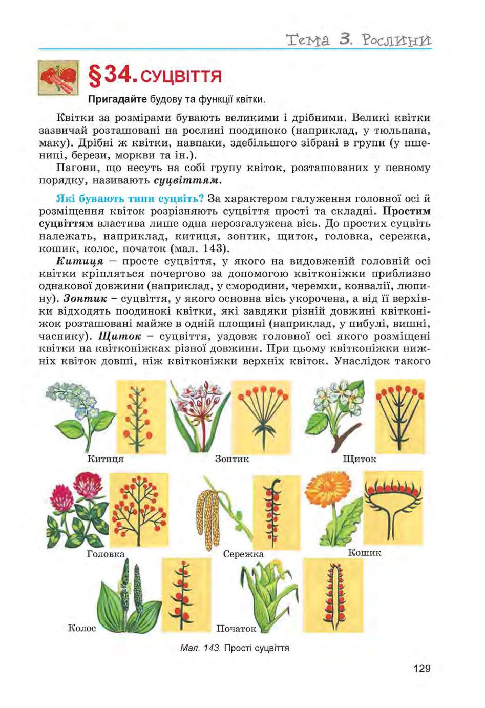 Мініатюра 129