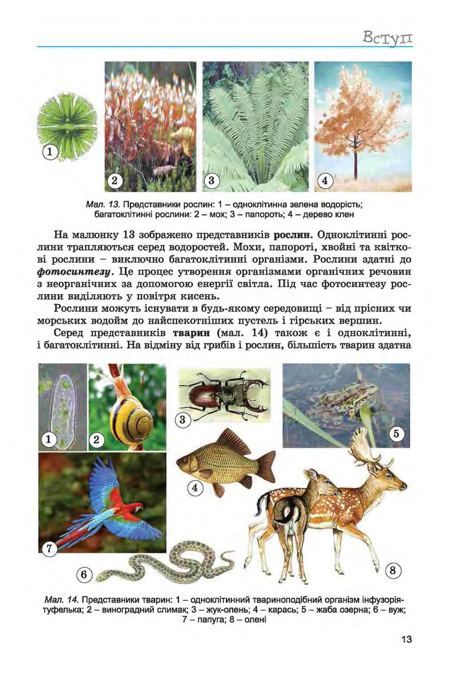 Мініатюра 13