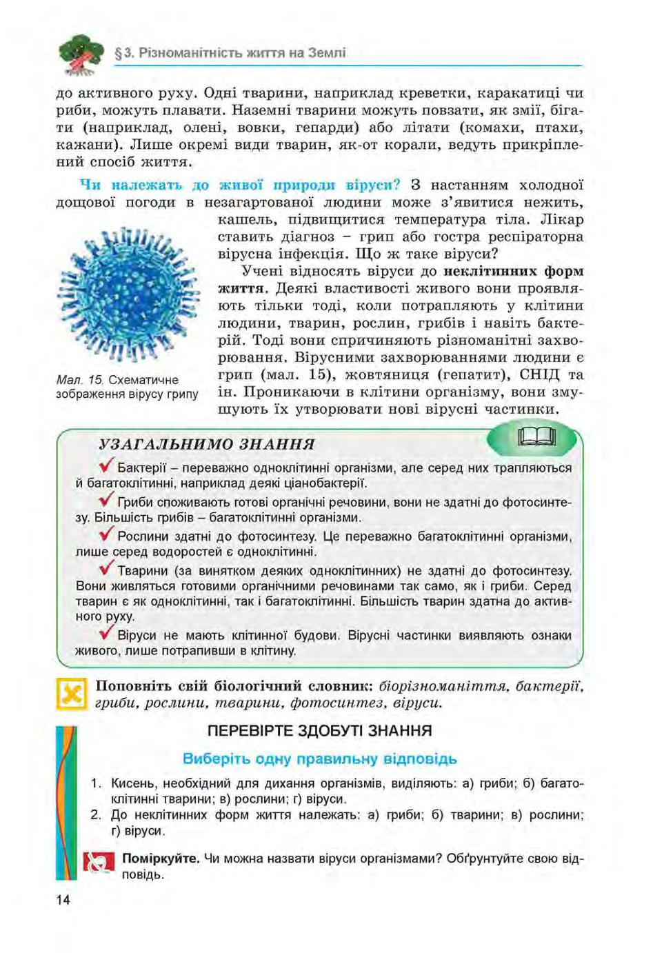 Мініатюра 14