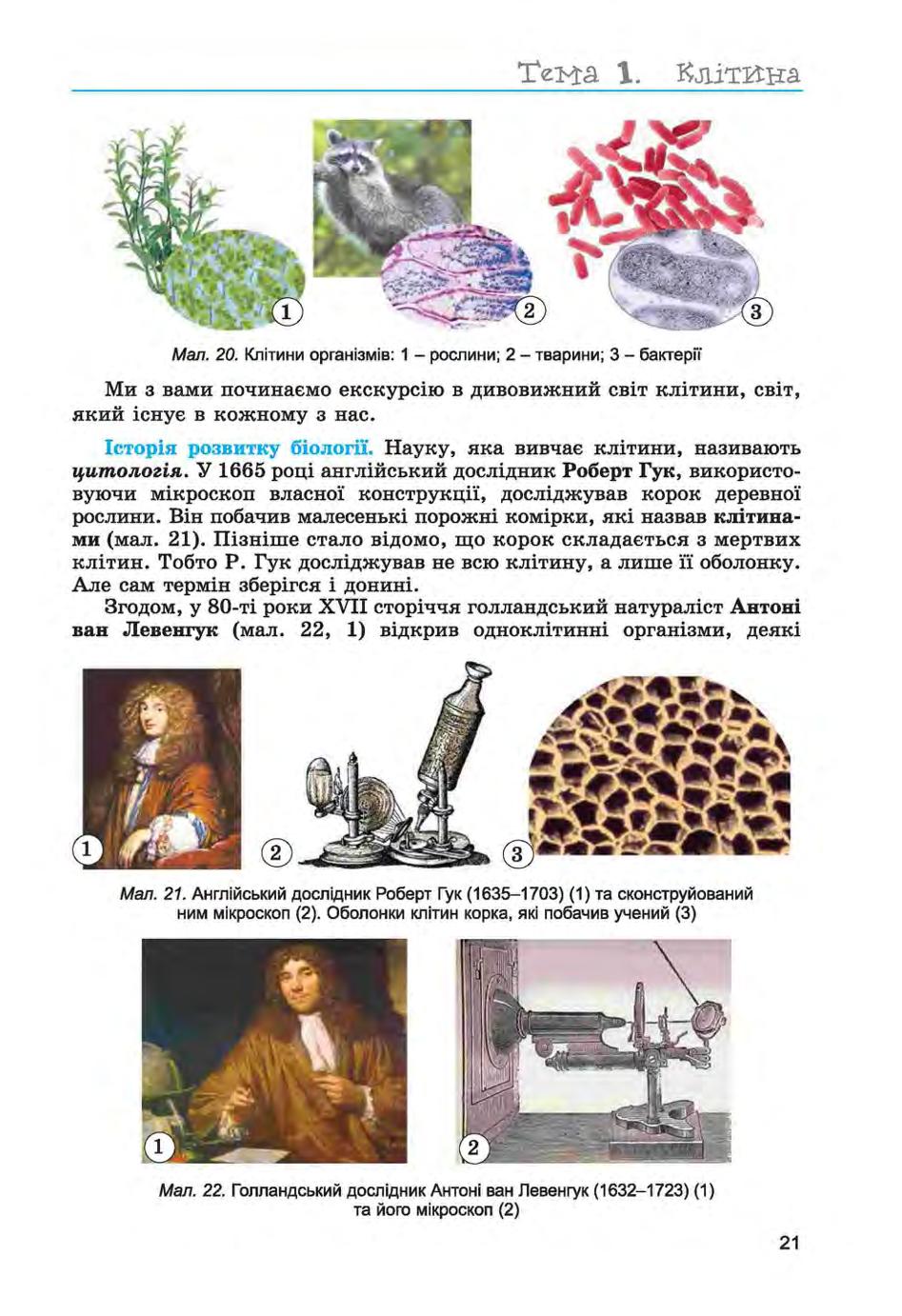 Мініатюра 21