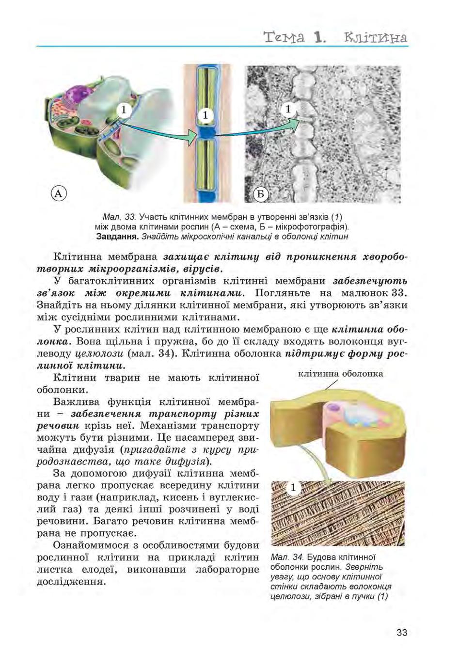 Мініатюра 33