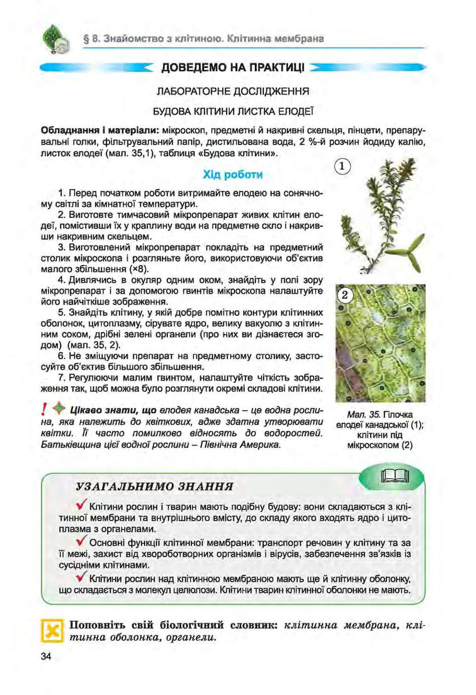 Мініатюра 34