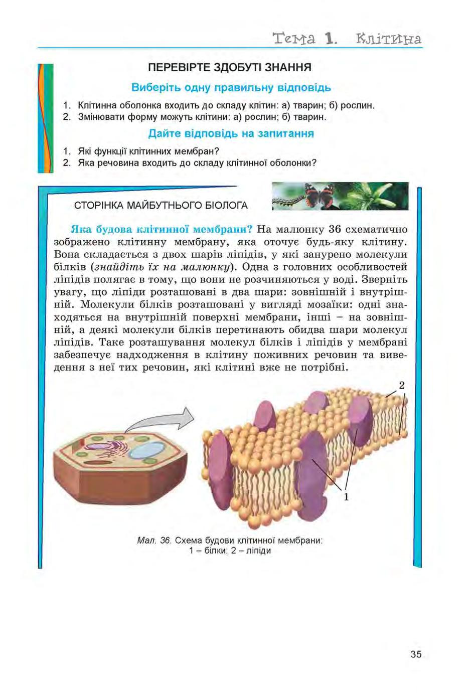 Мініатюра 35