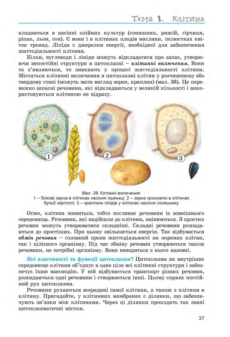 Мініатюра 37