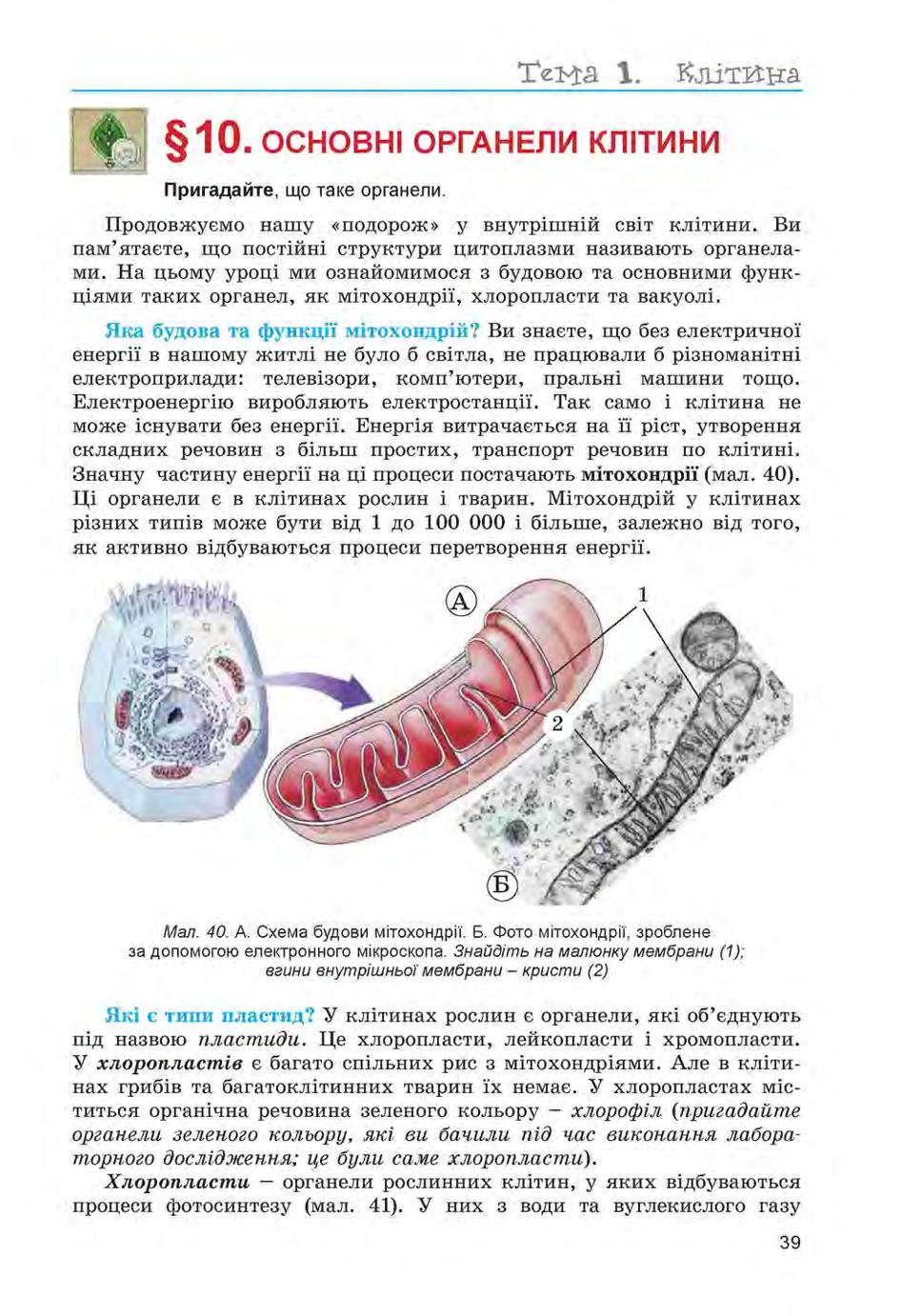 Мініатюра 39