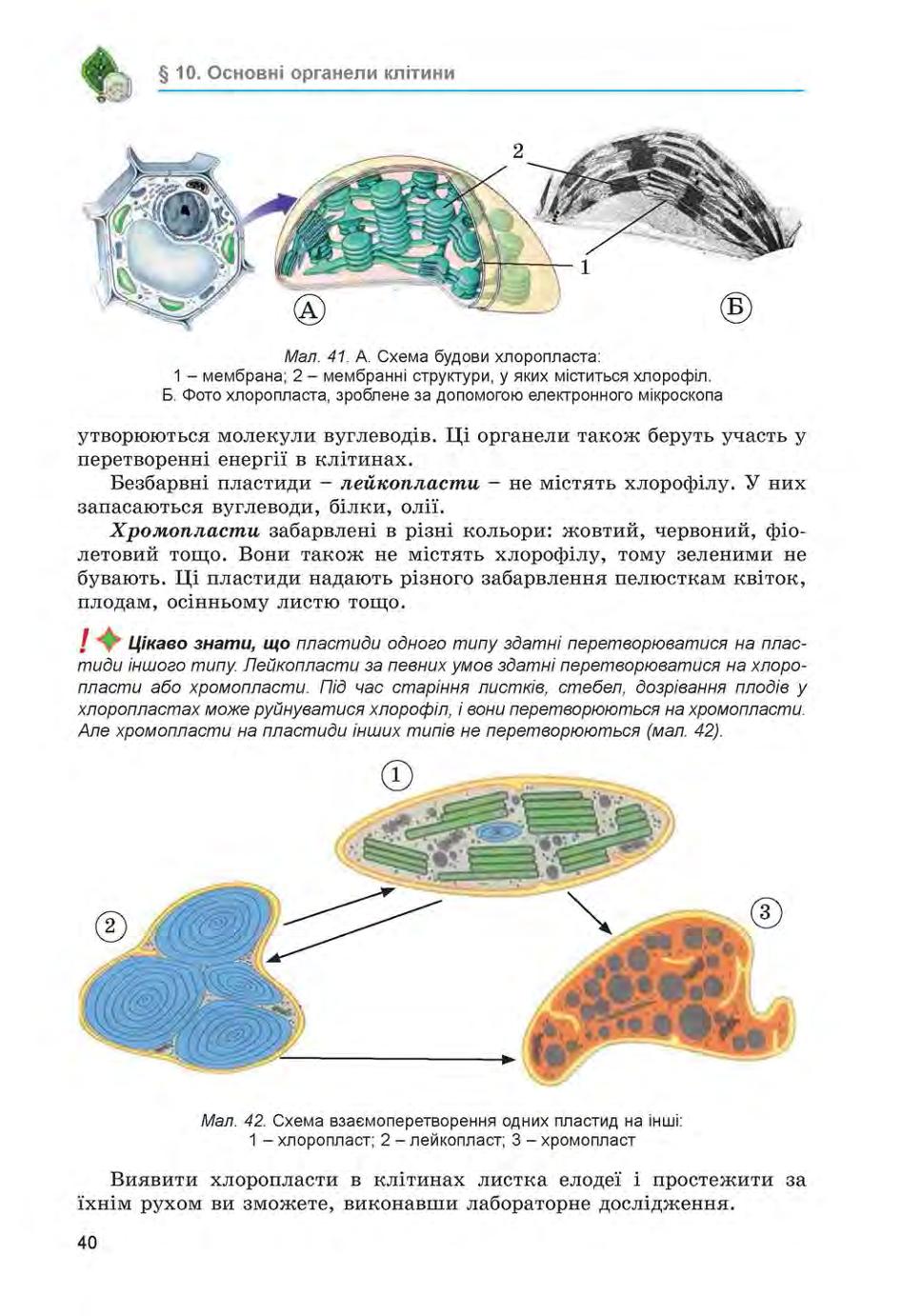 Мініатюра 40