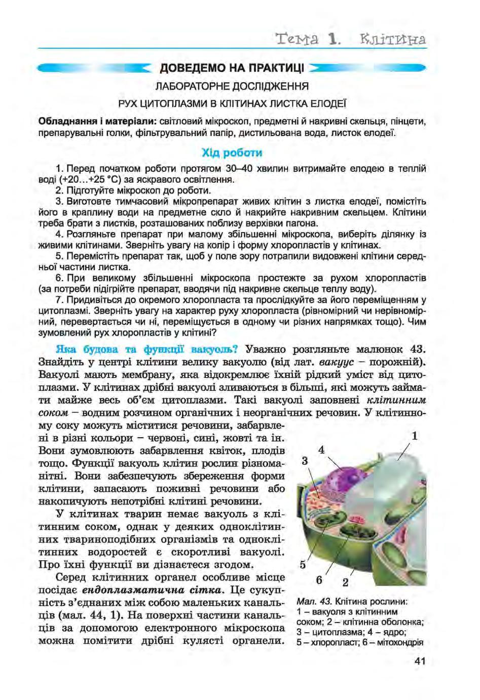 Мініатюра 41