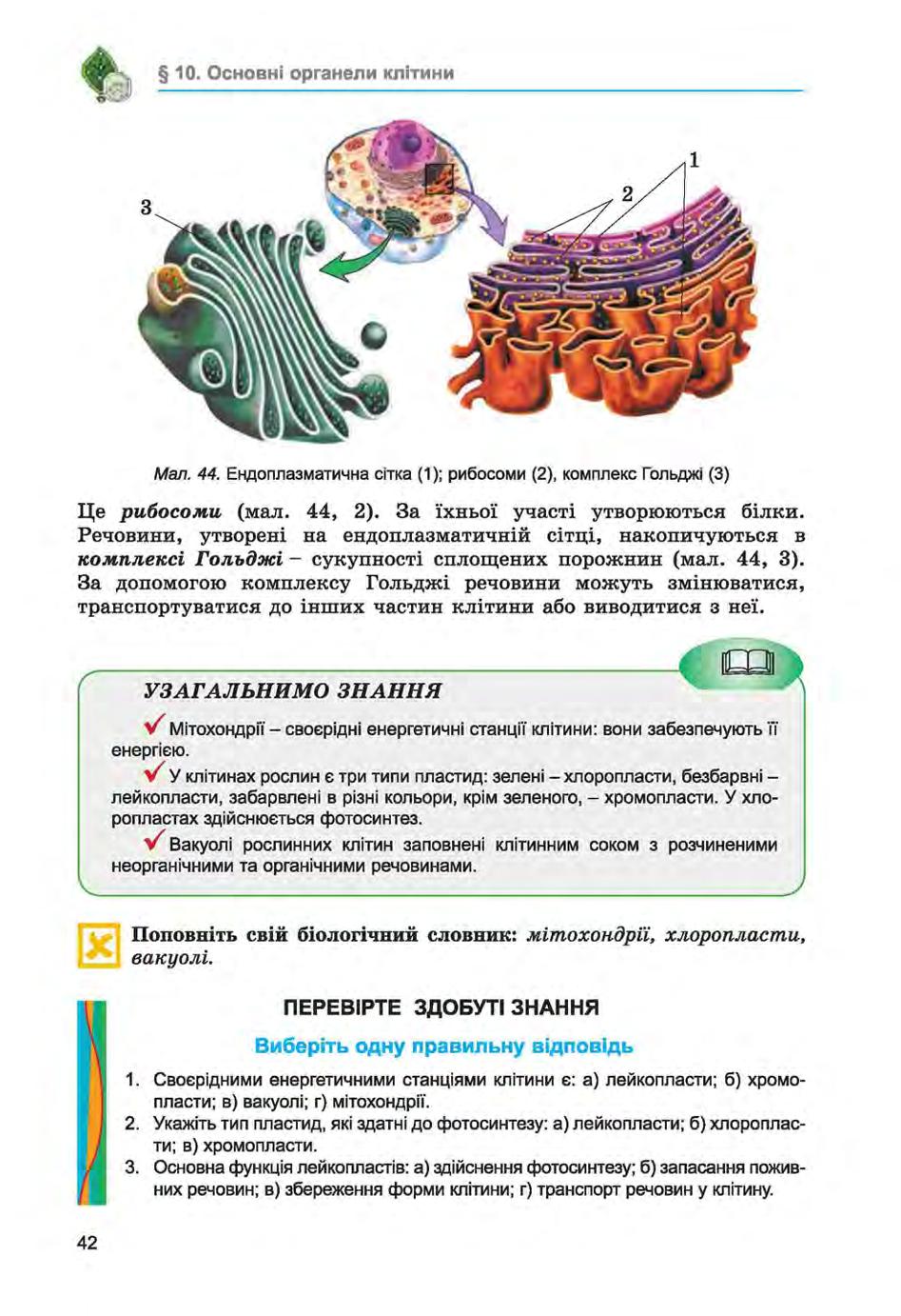 Мініатюра 42