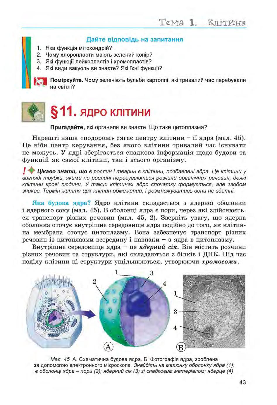 Мініатюра 43