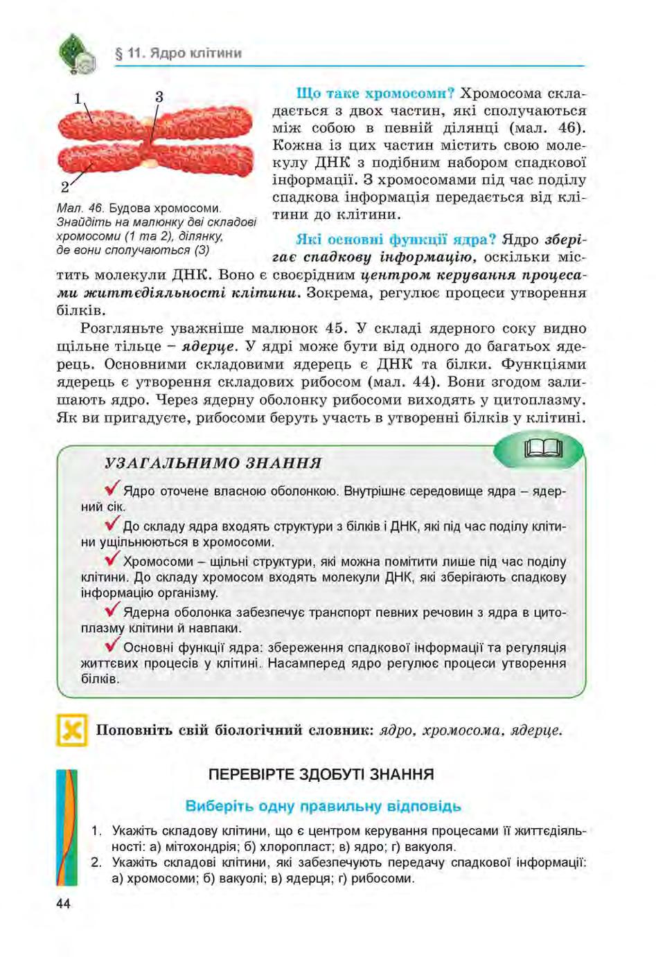 Мініатюра 44