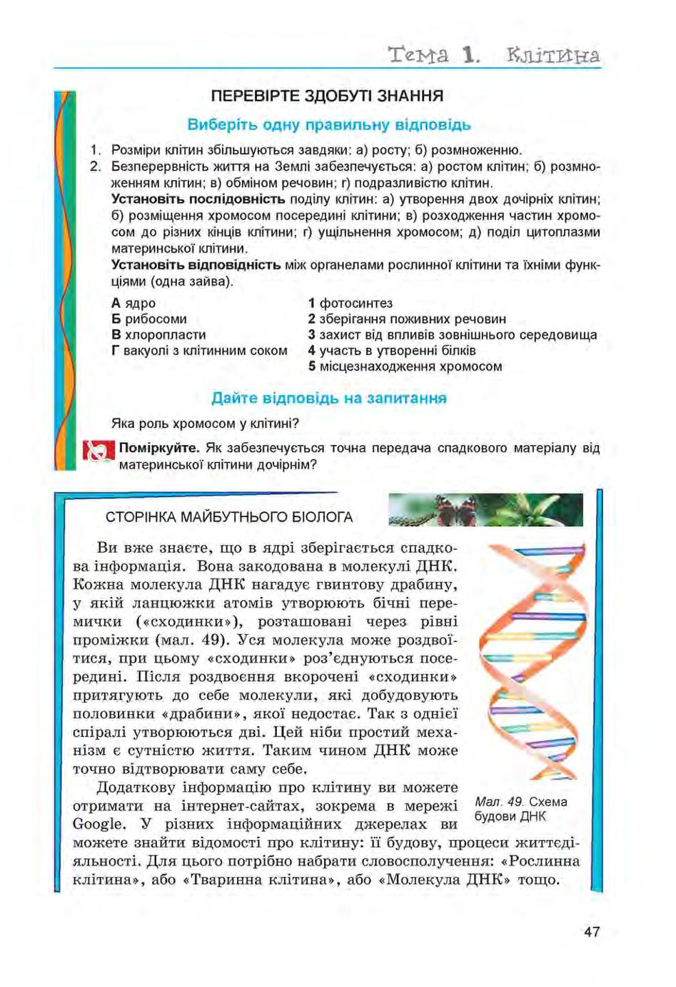 Мініатюра 47