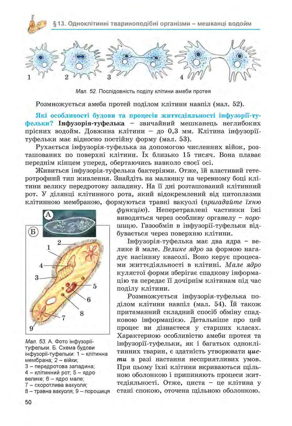 Мініатюра 50