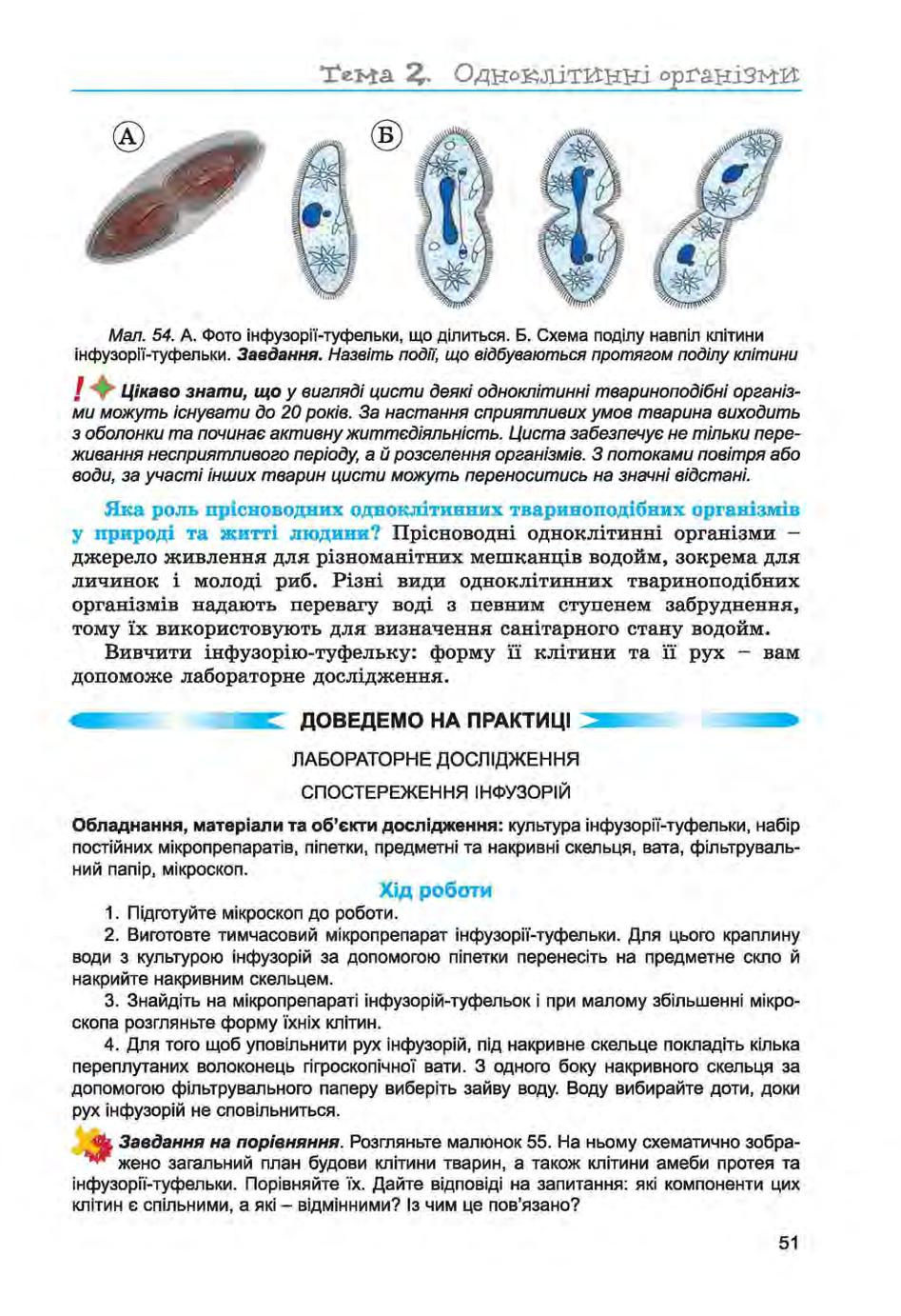 Мініатюра 51