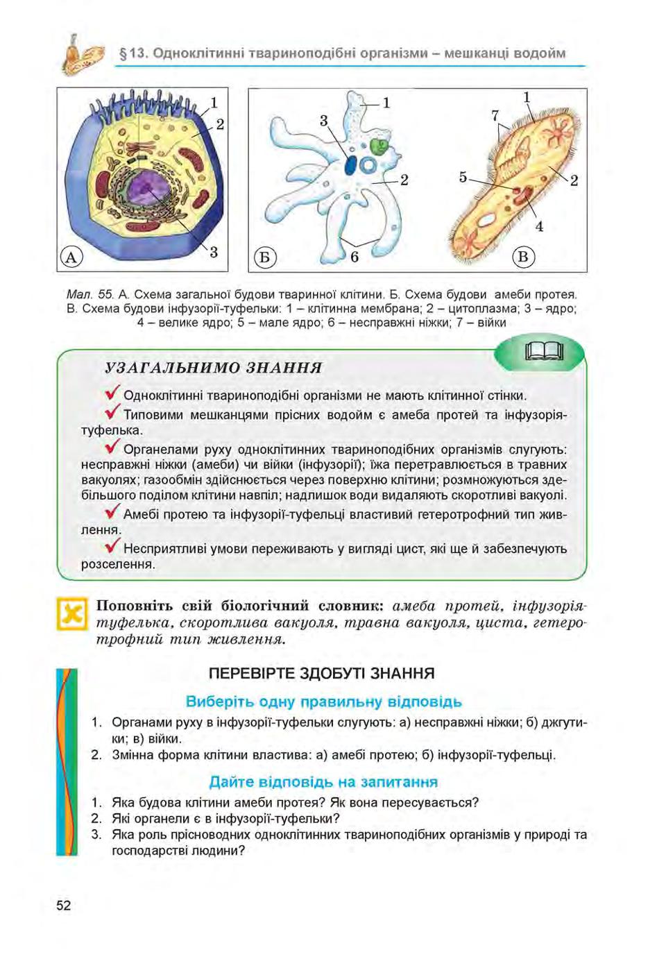 Мініатюра 52