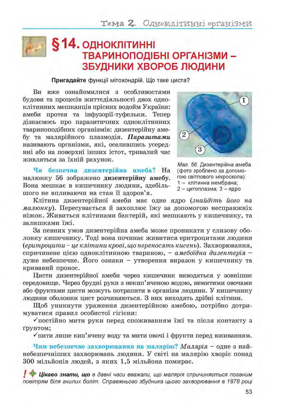 Мініатюра 53