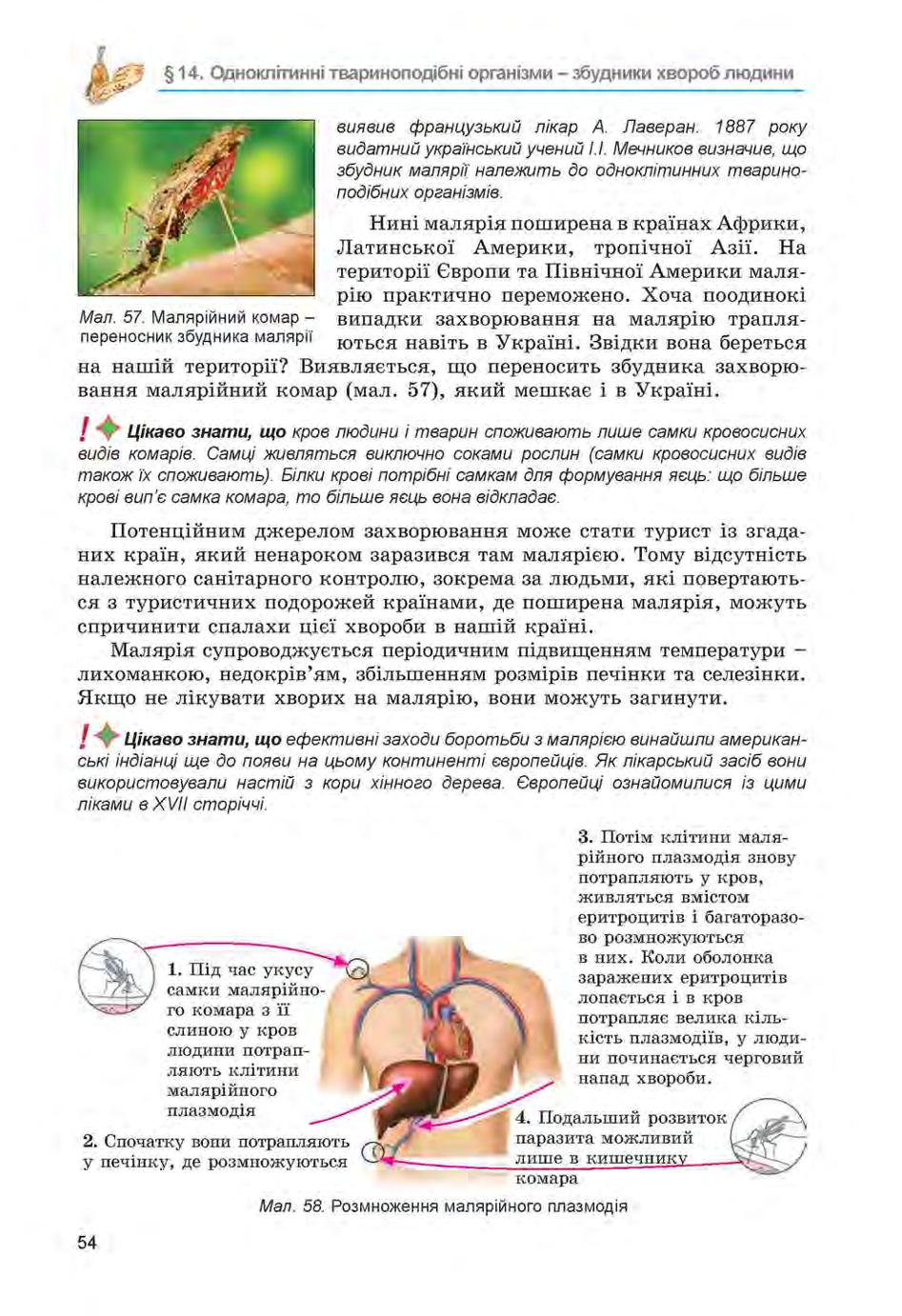Мініатюра 54
