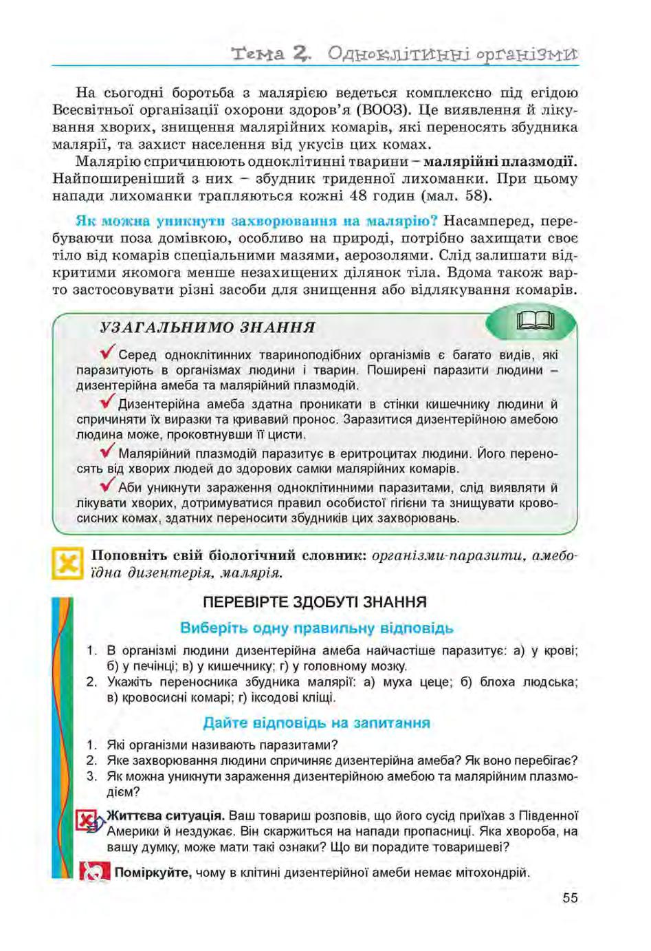 Мініатюра 55