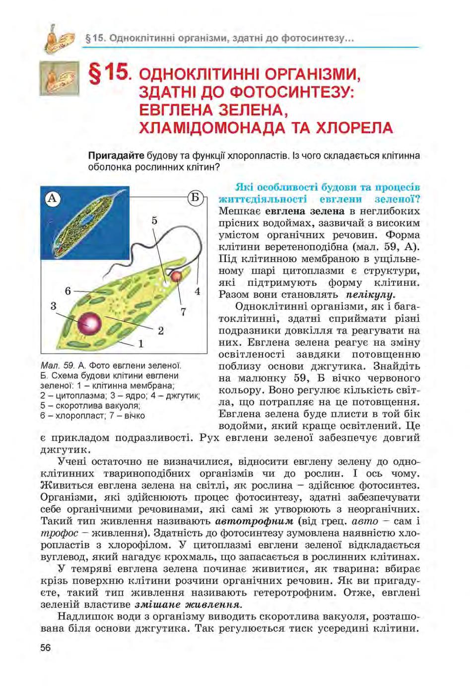 Мініатюра 56