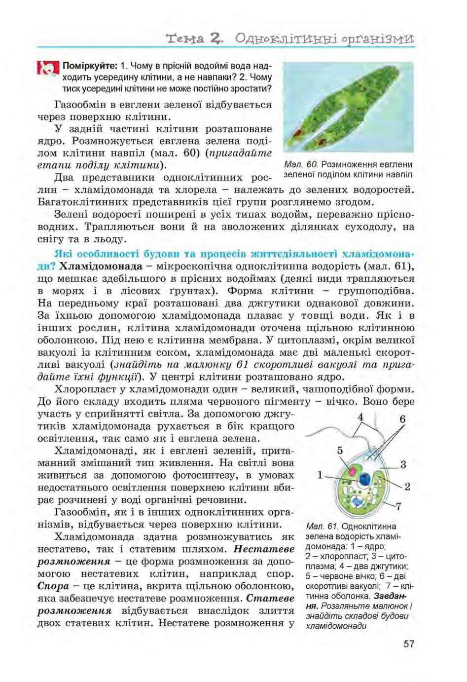 Мініатюра 57