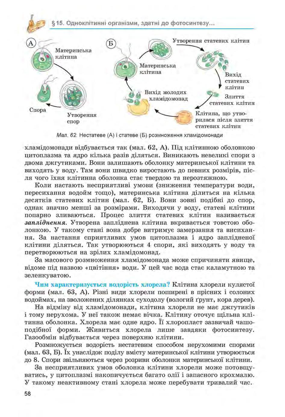 Мініатюра 58