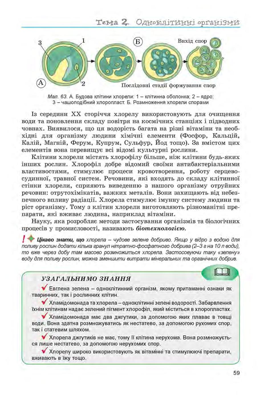 Мініатюра 59