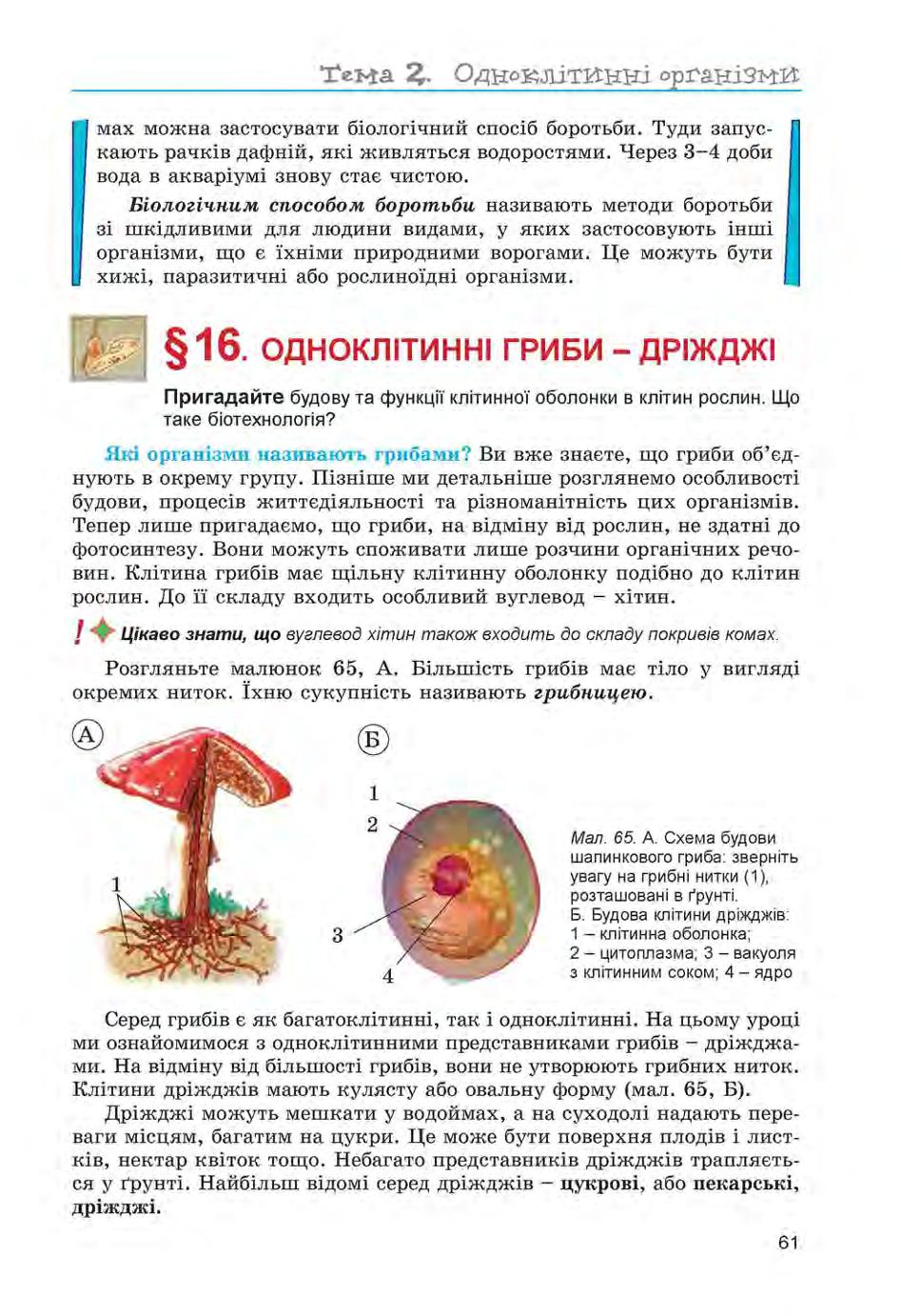 Мініатюра 61