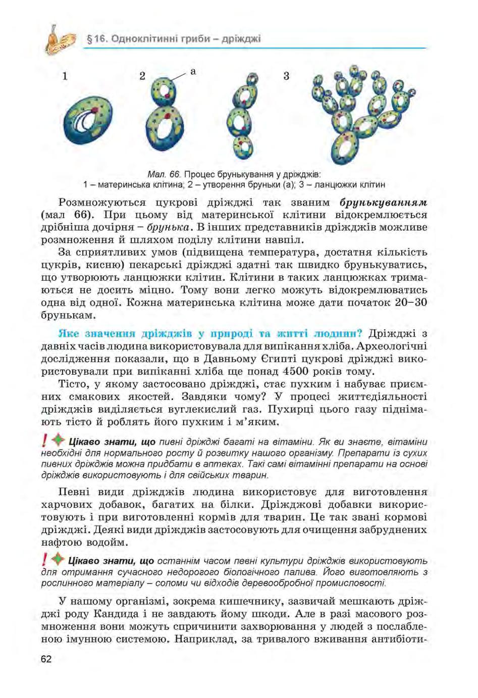 Мініатюра 62