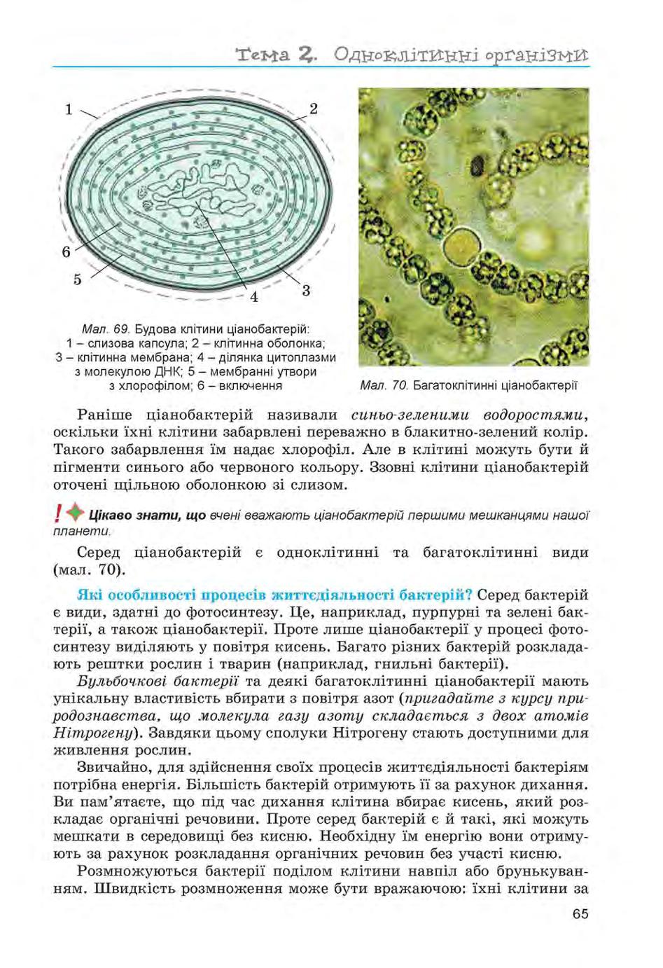 Мініатюра 65