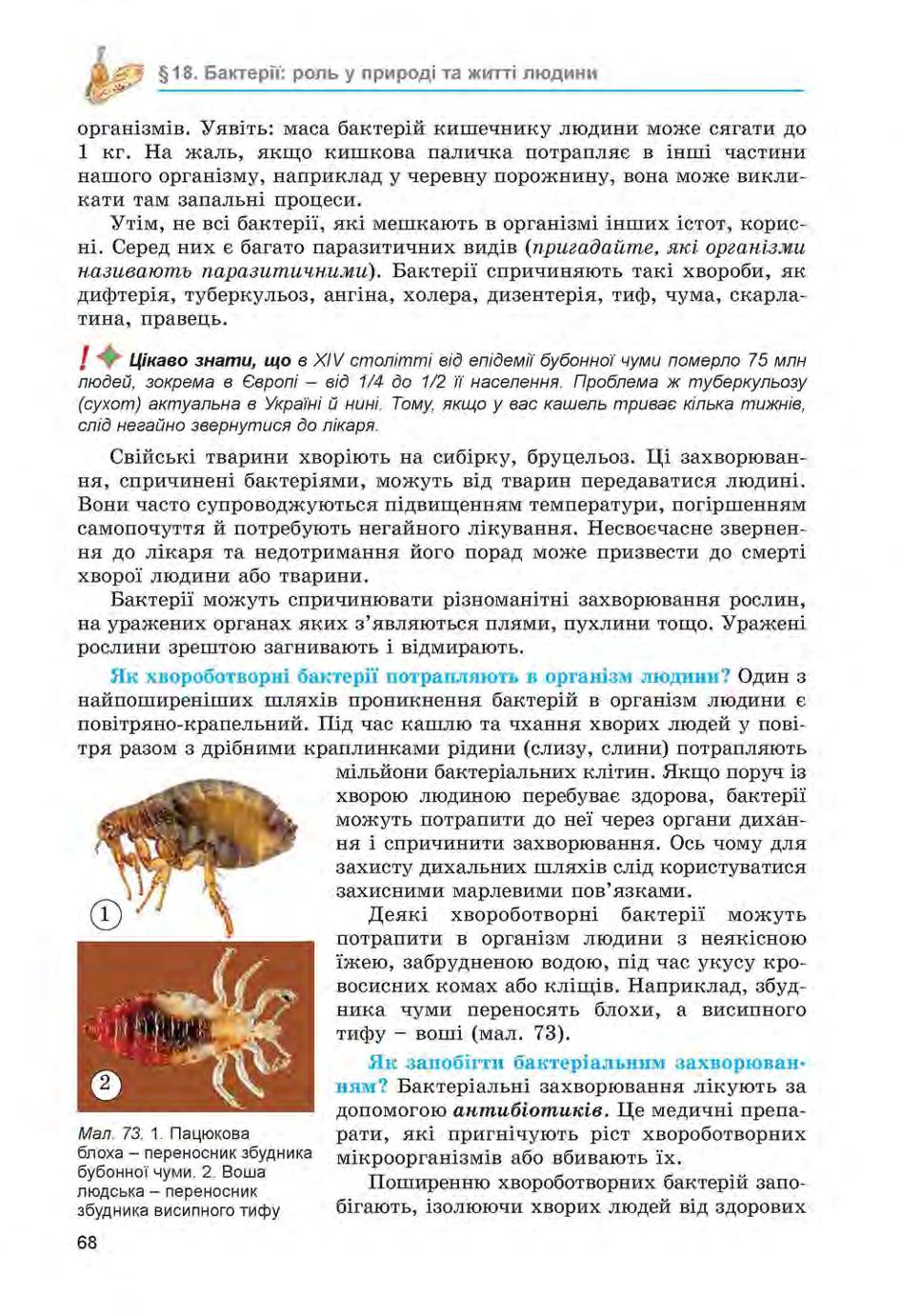 Мініатюра 68
