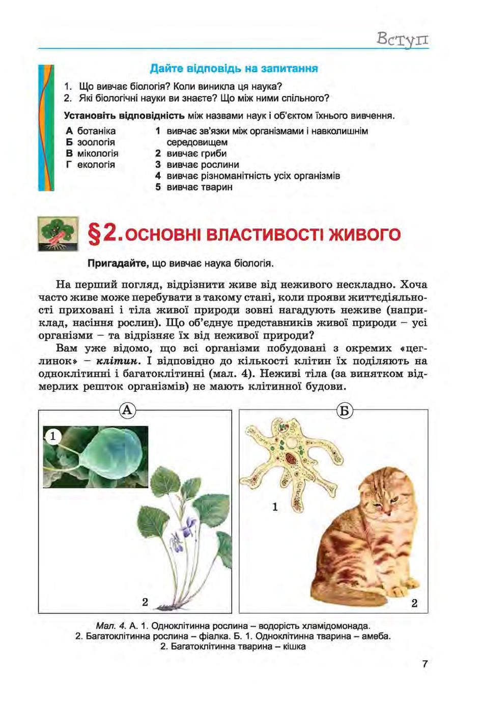 Мініатюра 7