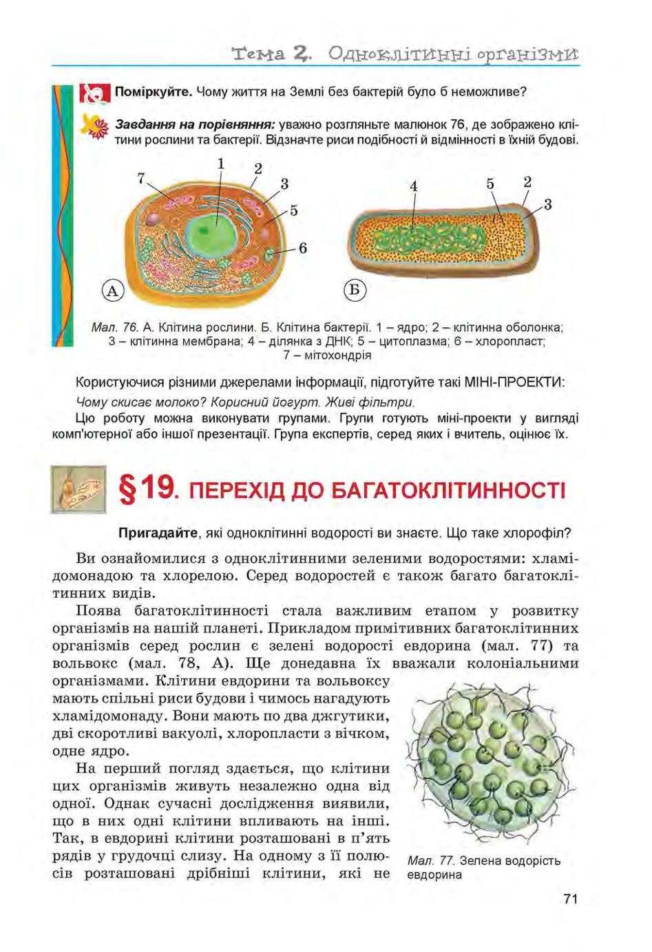 Мініатюра 71