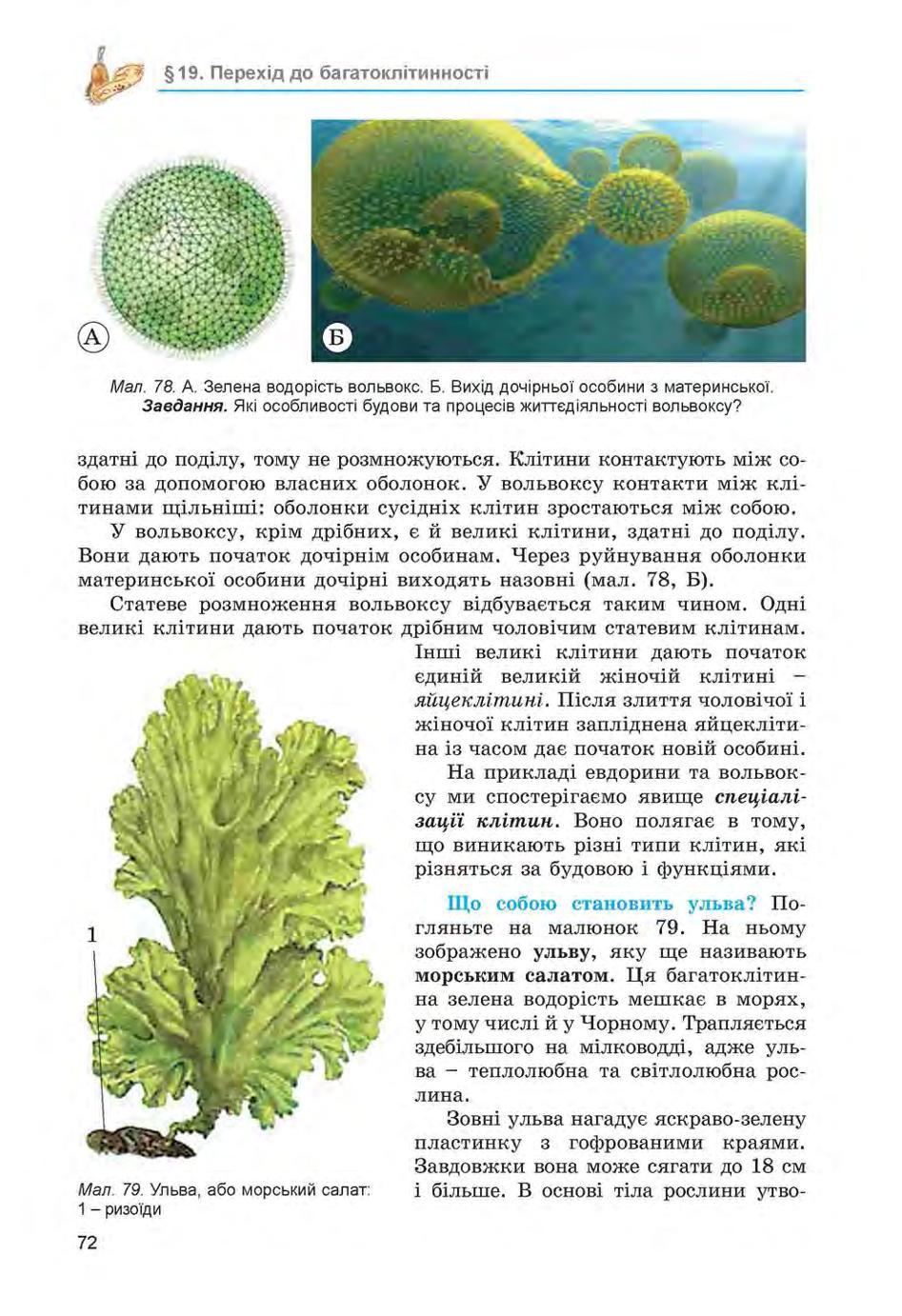 Мініатюра 72