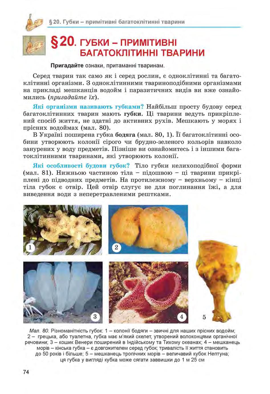 Мініатюра 74