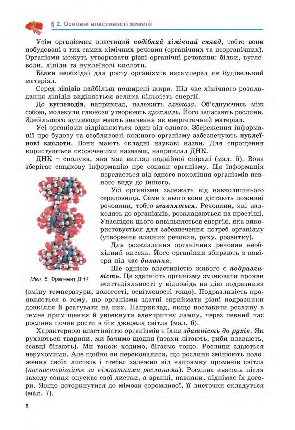 Мініатюра 8
