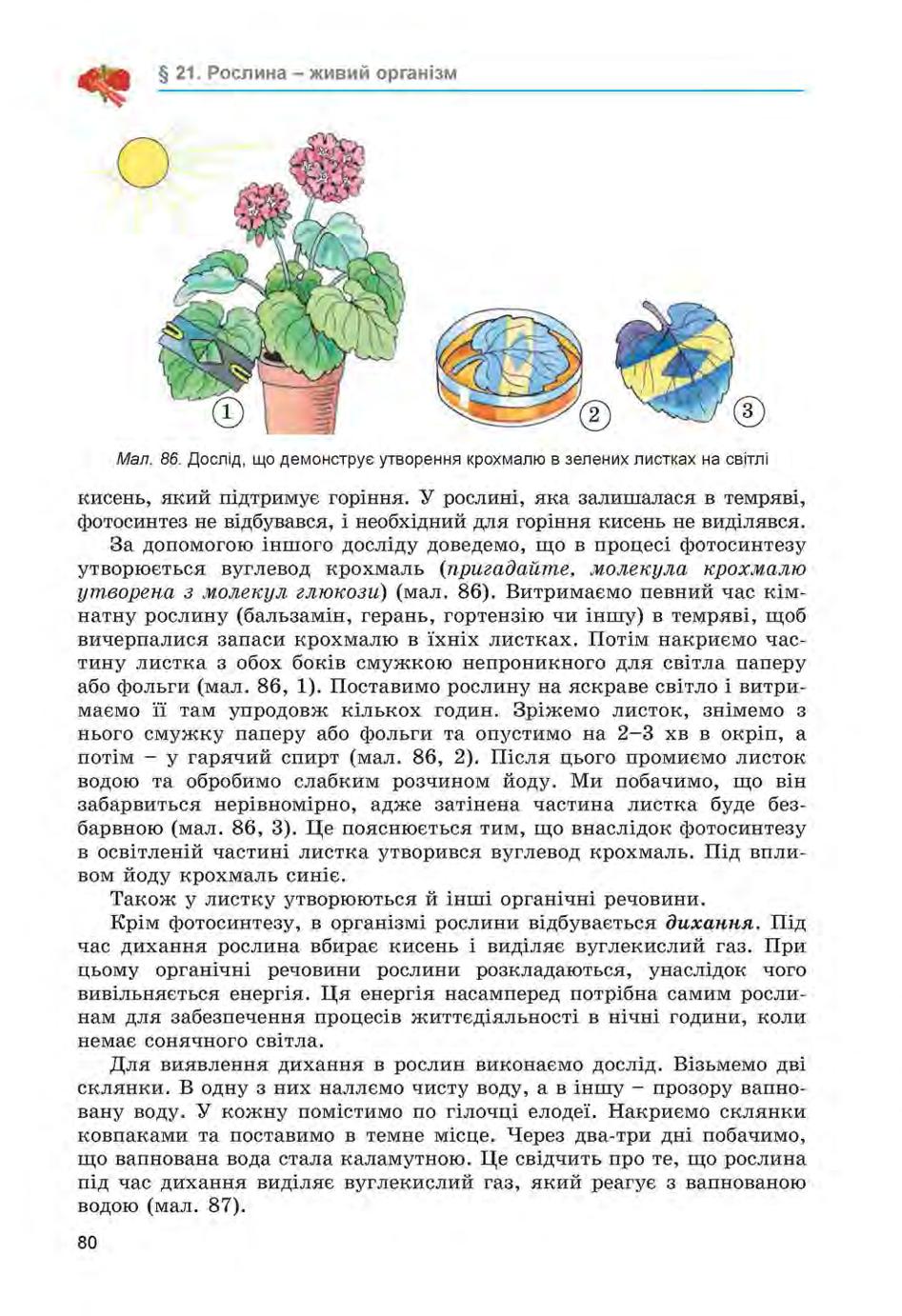 Мініатюра 80