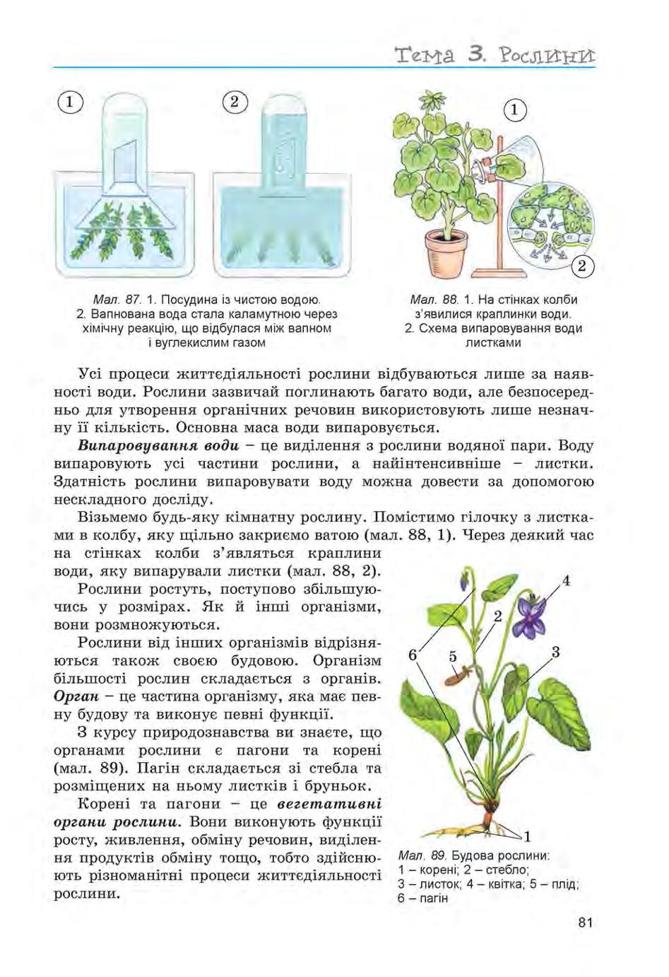 Мініатюра 81