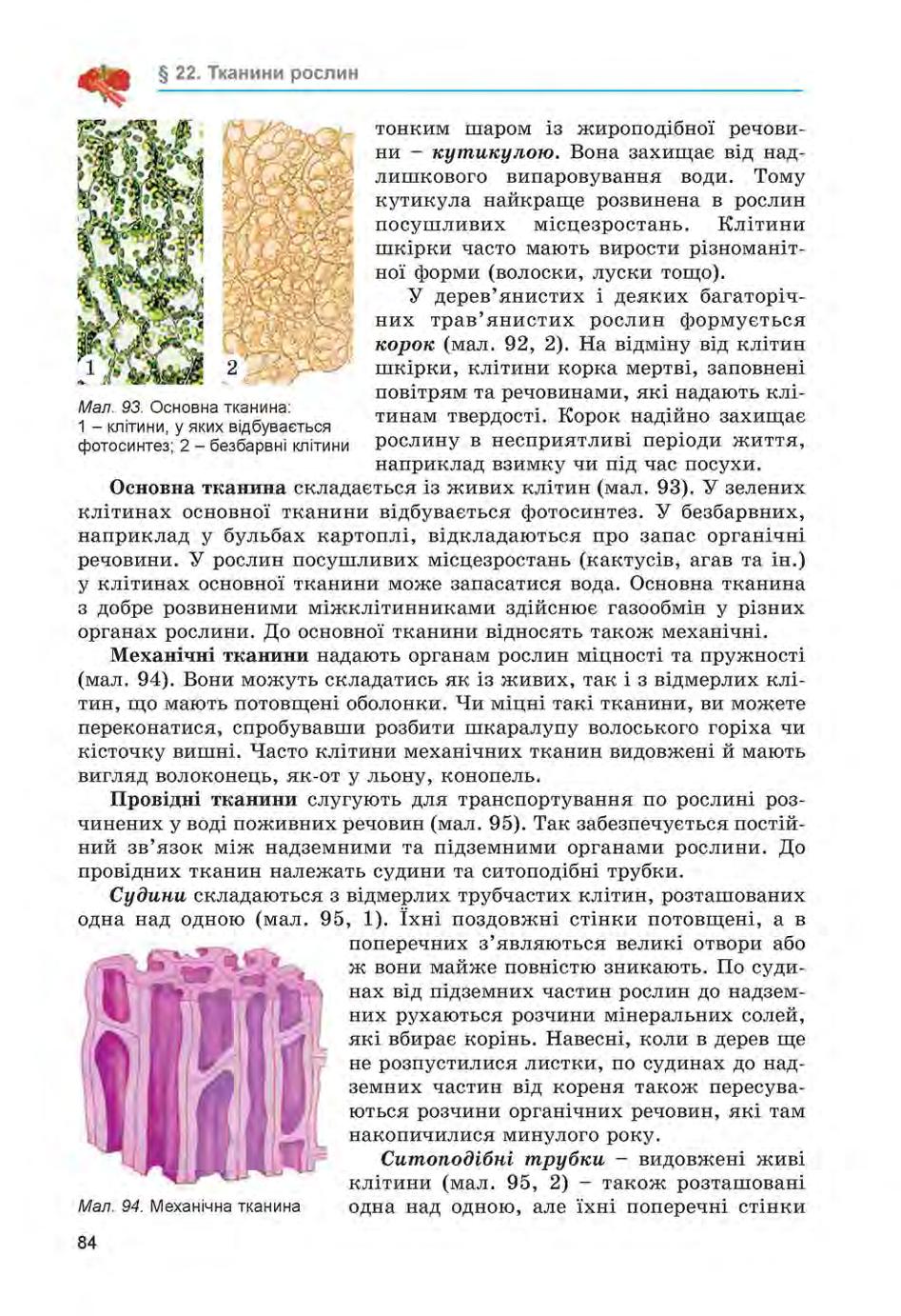 Мініатюра 84