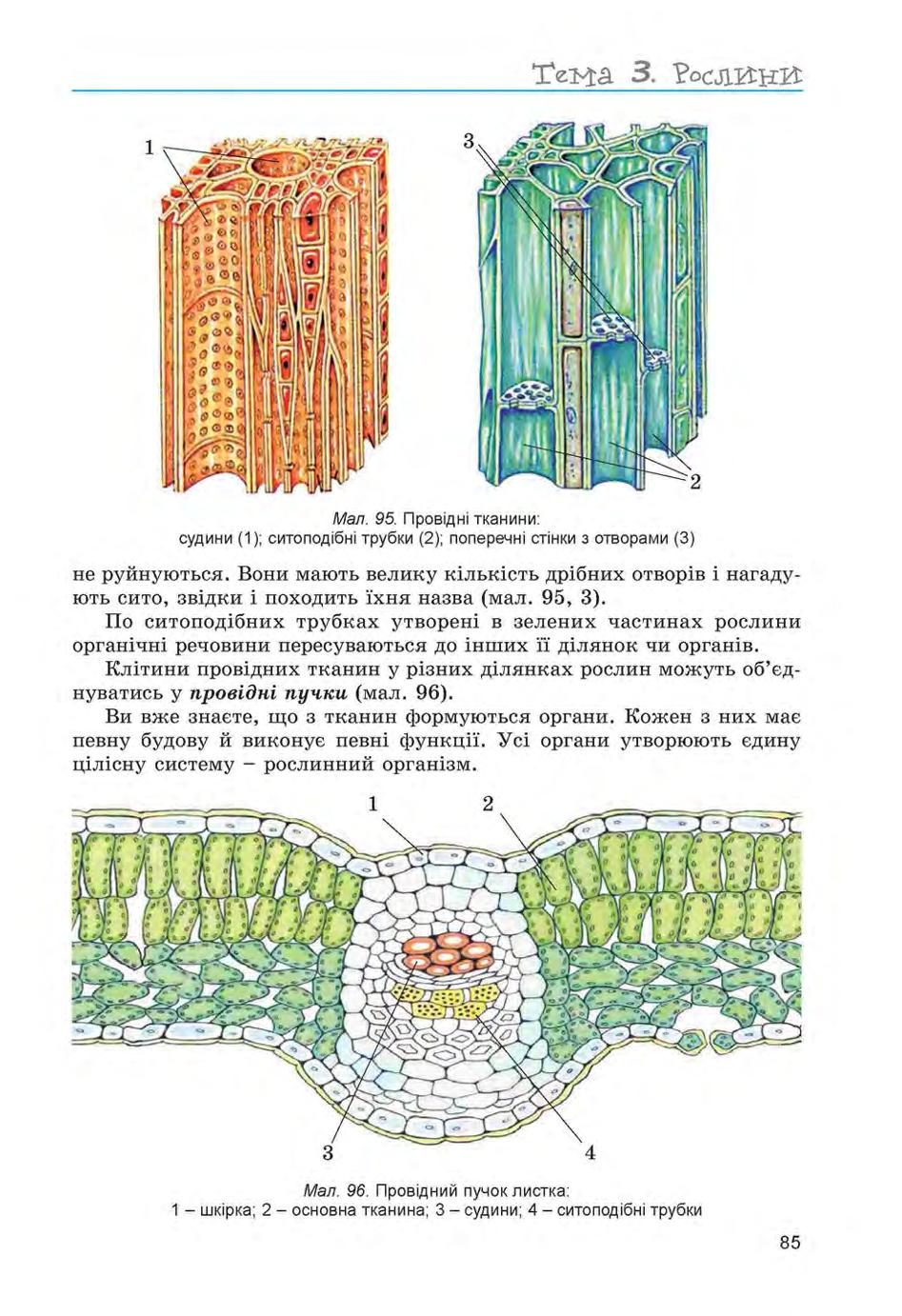 Мініатюра 85