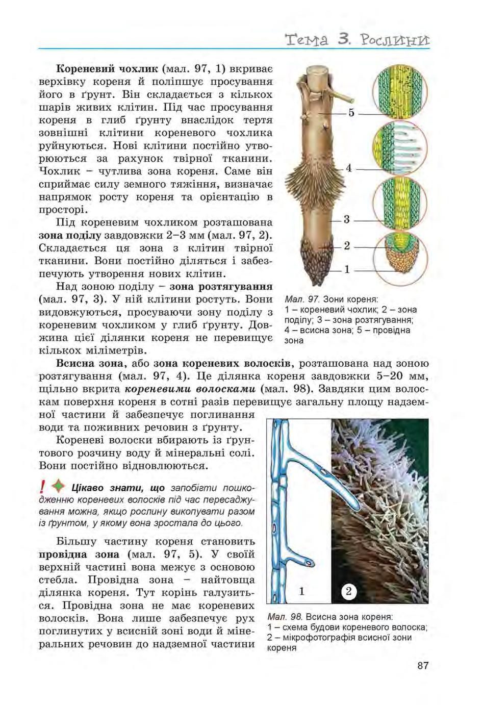 Мініатюра 87