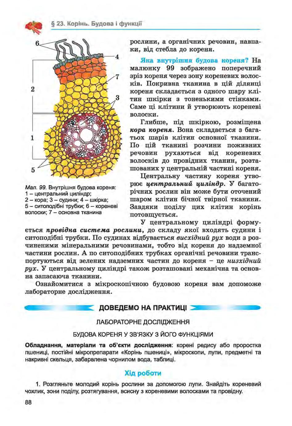 Мініатюра 88