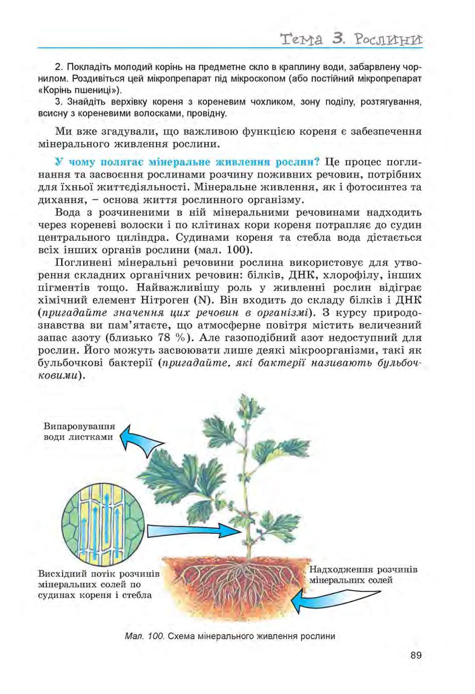 Мініатюра 89