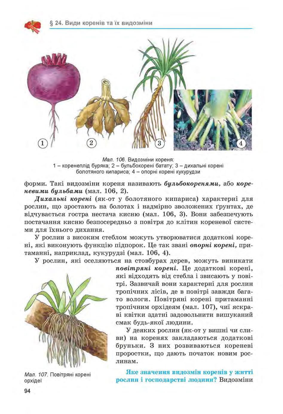Мініатюра 94