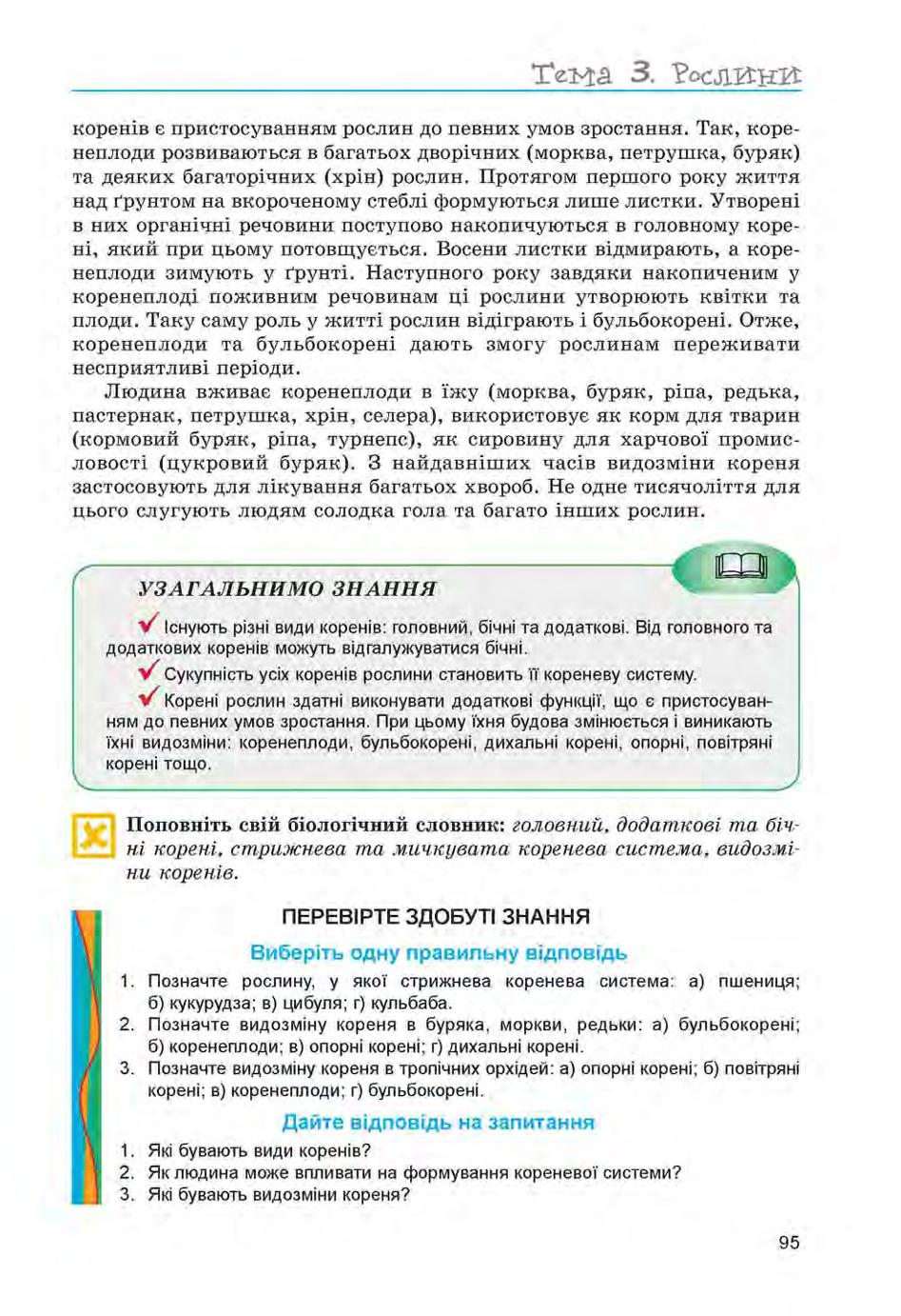 Мініатюра 95