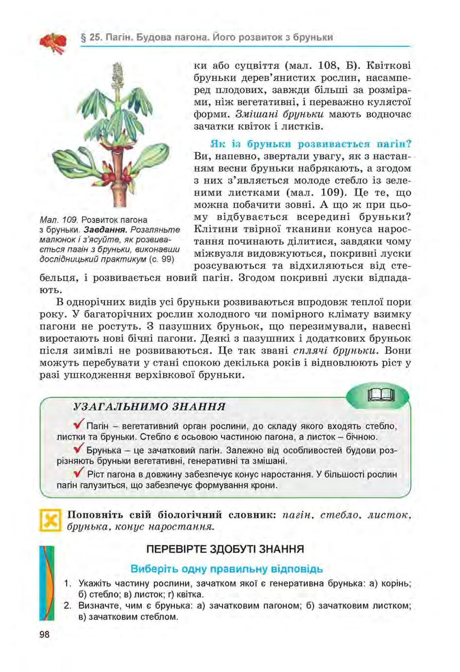 Мініатюра 98