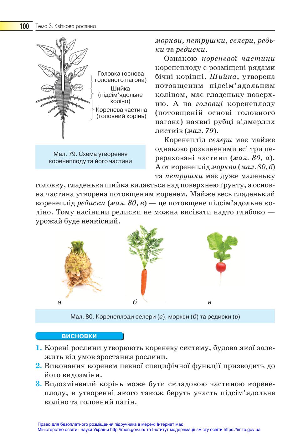 Мініатюра 100