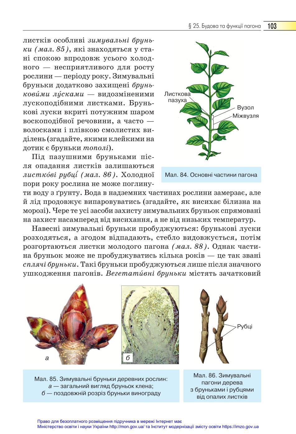 Мініатюра 103