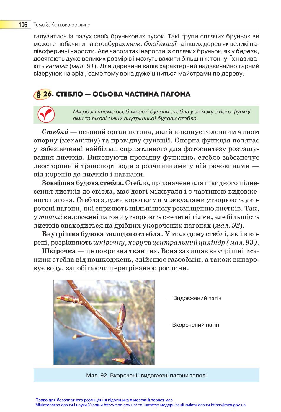 Мініатюра 106